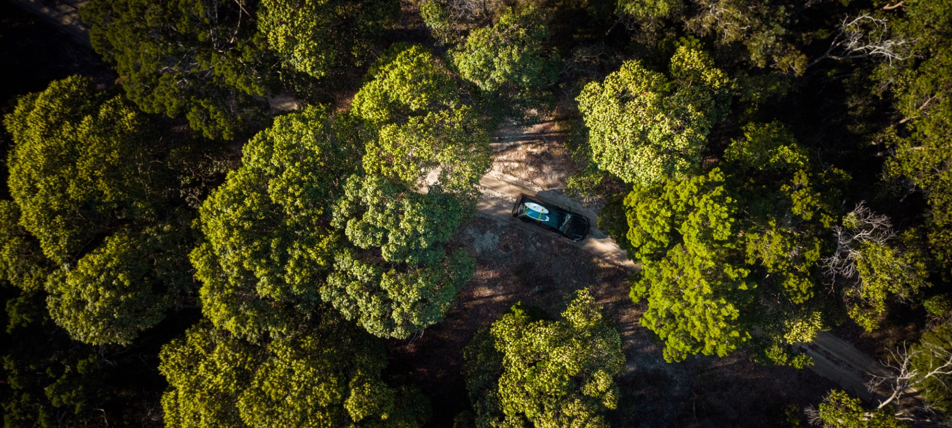 Birdseye view of camping in woods