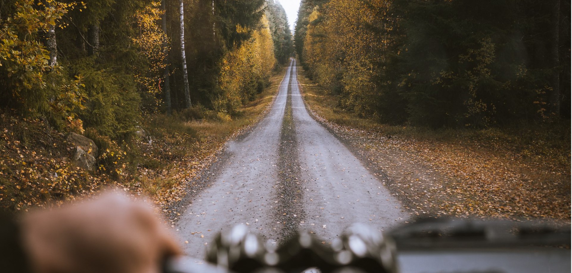 Forest road in fall from driver's point of view inside car.