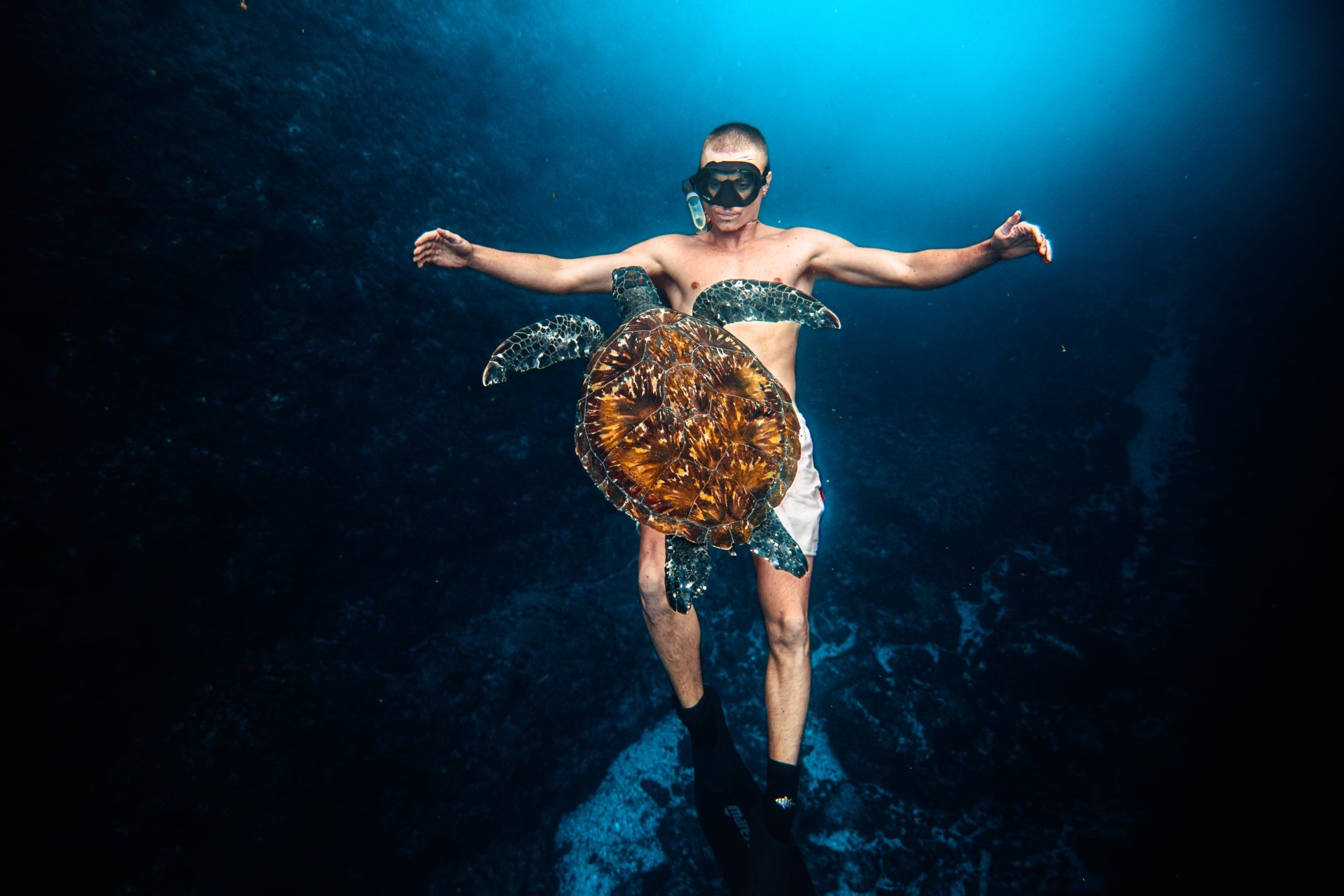 Person swimming underwater with sea turtle