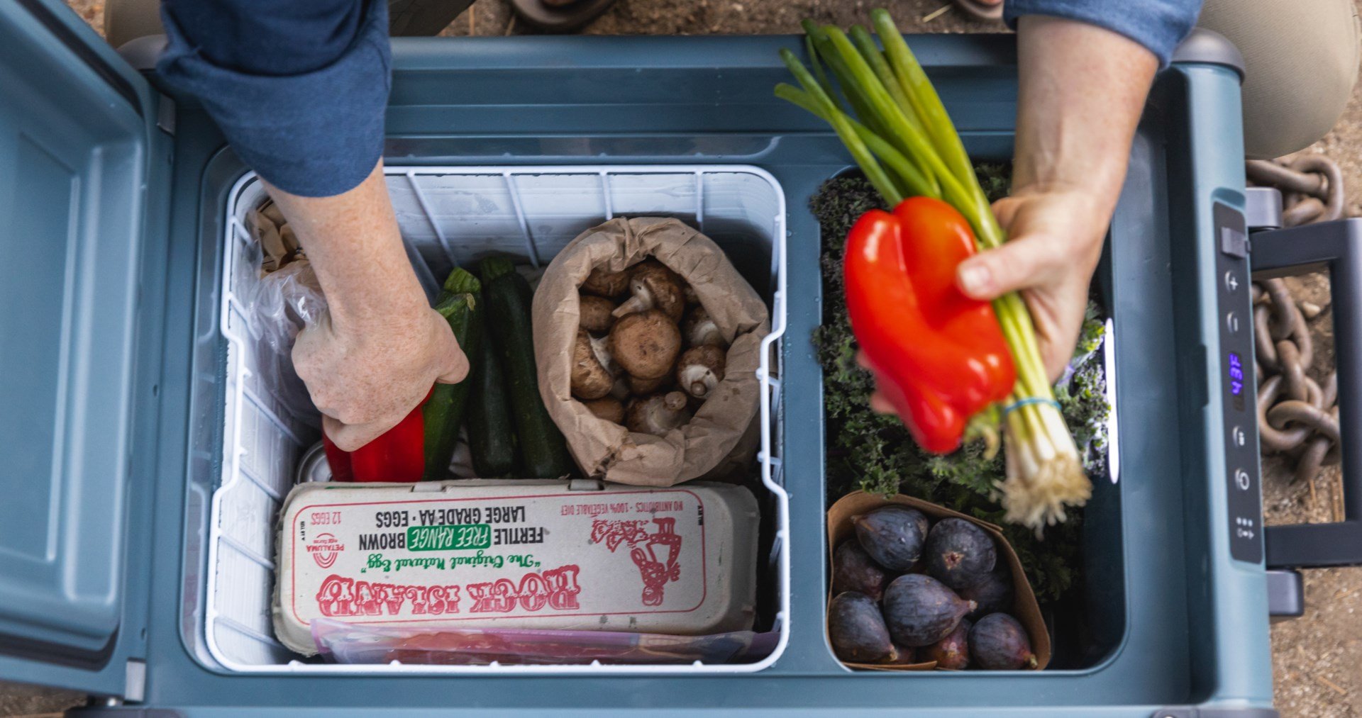 Women grabbing veggies out of electric cooler basket.